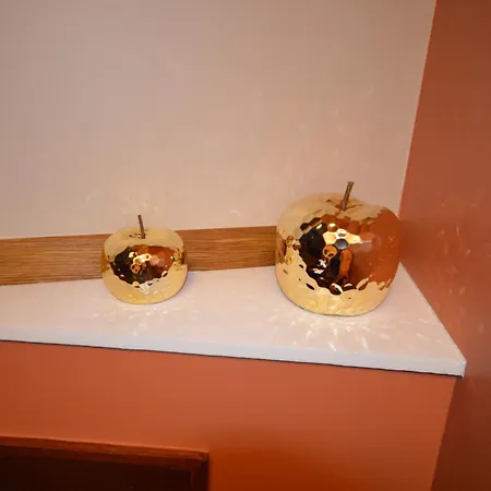 Cosy Et Moderne Сasa de vacaciones